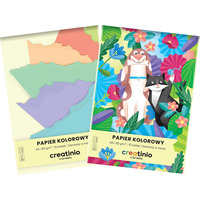 PAPIER KOLOROWY TOP 2000 CREATINIO A5 10K 80G 400176683